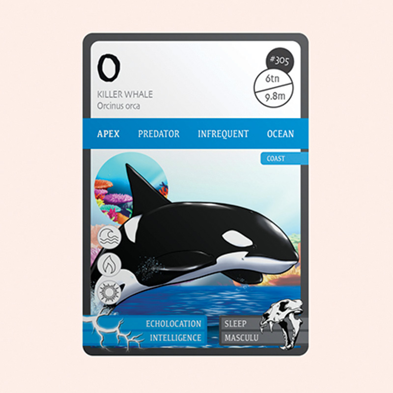 Animoz-Orca-Card.jpg